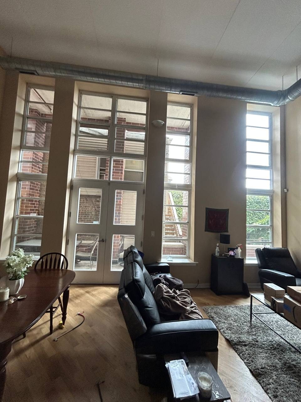 Living room windows after